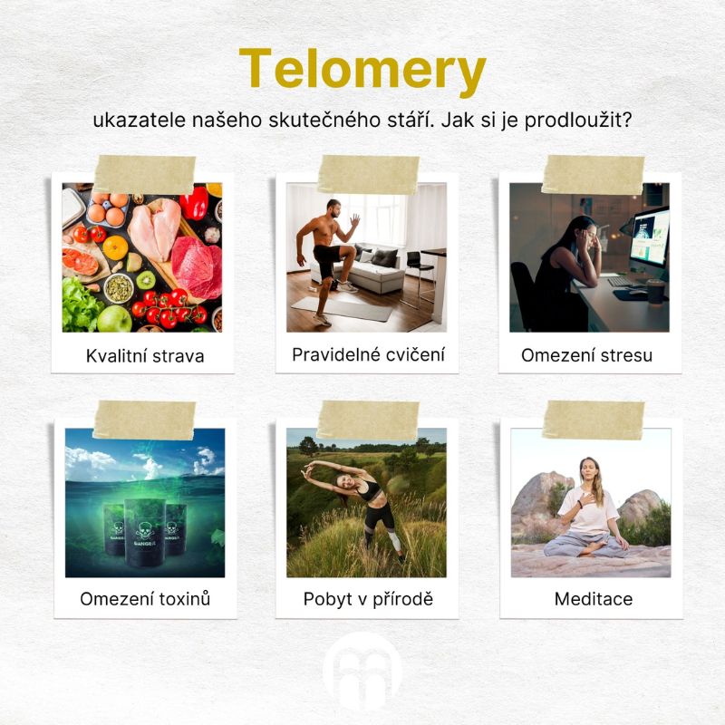 Návrh bez názvu (79)